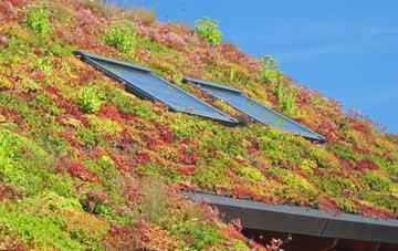 Rawreth Shot living roof systems