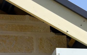 soffit repair Rawreth Shot